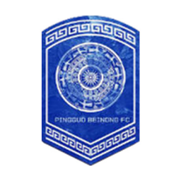 武汉车谷江大女足